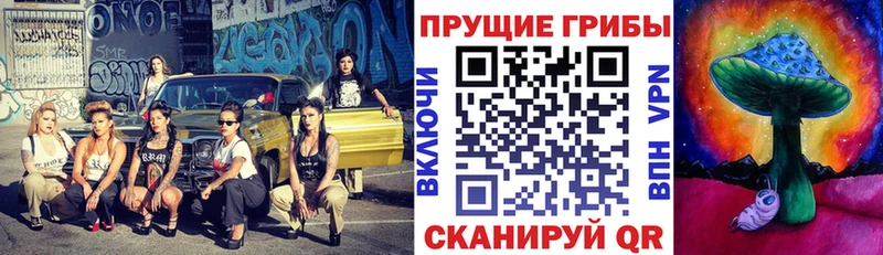 где можно купить   Свирск  Псилоцибиновые грибы Magic Shrooms 